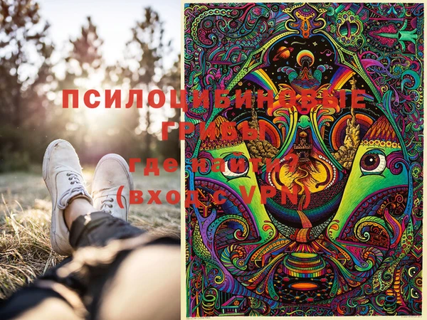 крисы Коряжма
