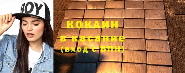 крисы Коряжма