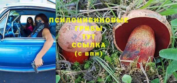 крисы Коряжма