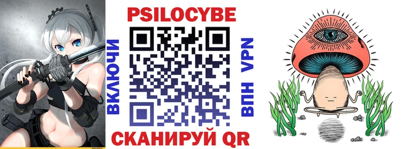 Галлюциногенные грибы прущие грибы  Стародуб 