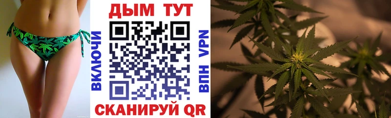 Шишки марихуана сатива  дарнет шоп  Стародуб 
